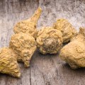 Understanding Maca Root as a Natural Alternative to Hormone Therapy